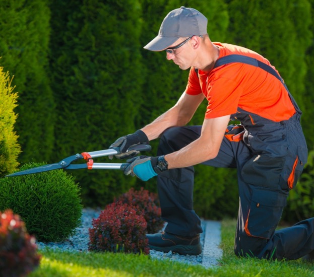 Jardinier paysagiste dans le Cher (18)